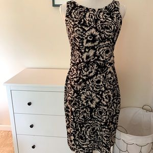 Ann Taylor Factory Floral Print Stretch Dress XS